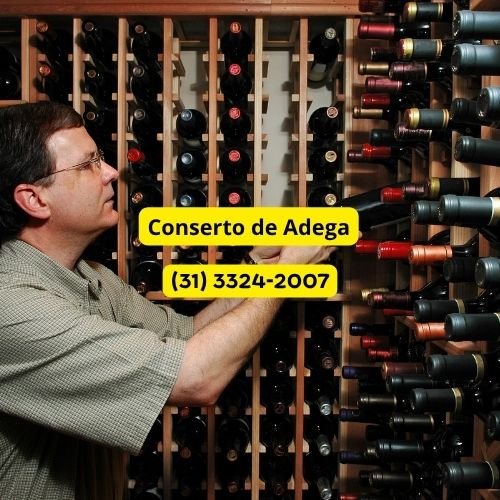 Conserto de Adega em Mário Campos
